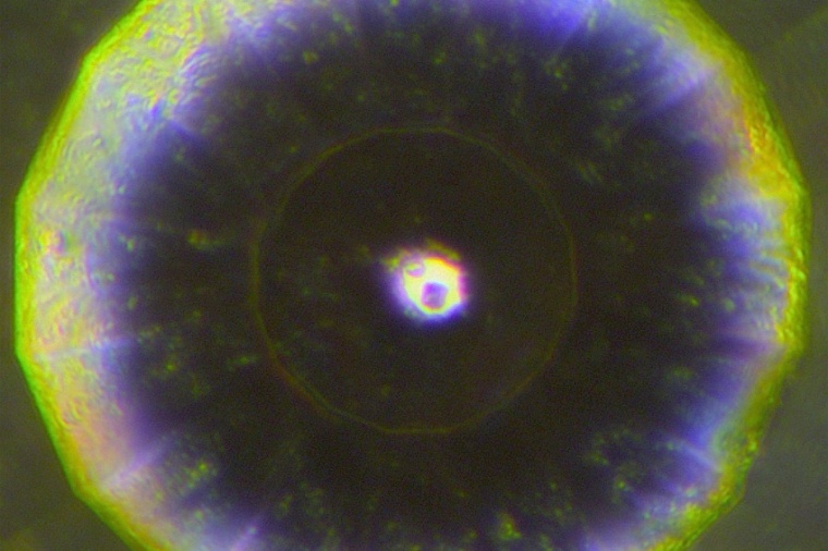 Abb.: Blick ins Innere einer Diamant­stempel­zelle (Bild: L. Dubrovinsky)