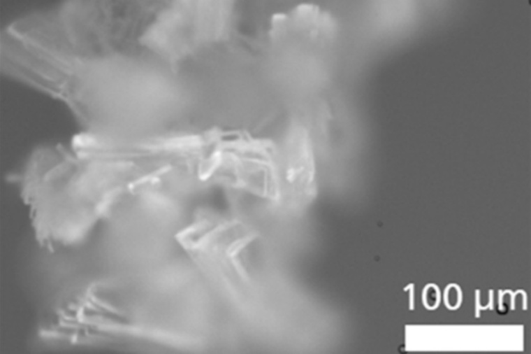 Abb.: Photo­lumineszens der Kristalle von GTUB3 (Bild: Y. Zorlu et al. / TU...
