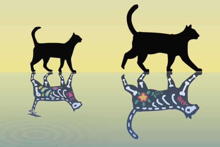 Abb.: Illustration schwererer Schrödinger-​Katzen, die gleichzeitig lebendig...