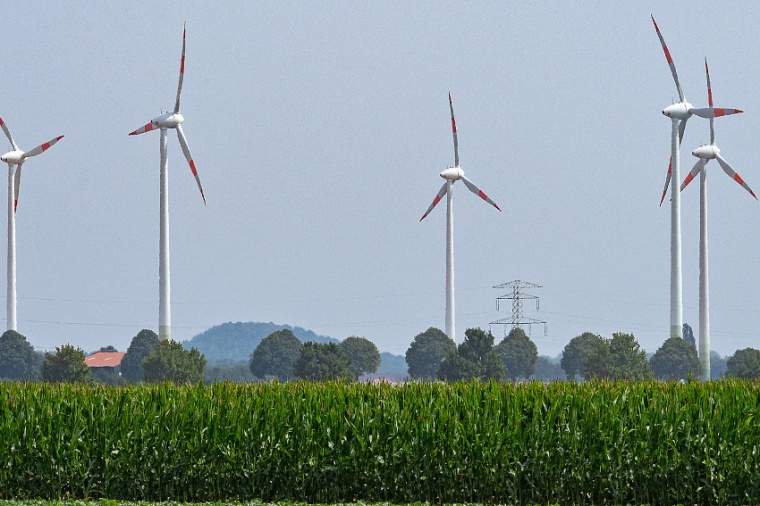 Abb.: Windräder hinter einem Feld mit Mais als Energiepflanze. (Bild: F....