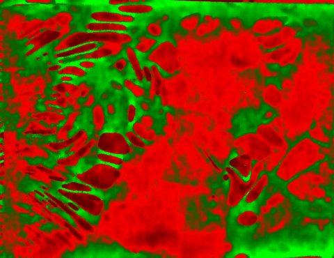 Momentaufnahme einer Zellschicht während des Ladezyklus der Li-S-Pouchzelle mit operando-Neutronentomographie: Regionen, die gut benetzt sind, erscheinen grün, schlecht benetzte sind rot dargestellt.