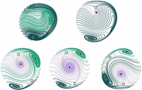 Topologischer Phasenübergang in nichtlinearen, getrieben-dissipativen Systemen. Die Strömungslinien markieren die Bahnen, denen der getriebene Resonator folgen kann, deren Landschaft und die Chiralität an den Anziehungspunkten, um die sich die Strömungslinien im oder gegen den Uhrzeigersinn winden.