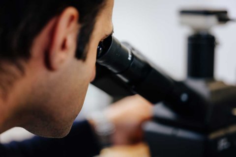 Forscher im Mikroskop (Symbolbild)