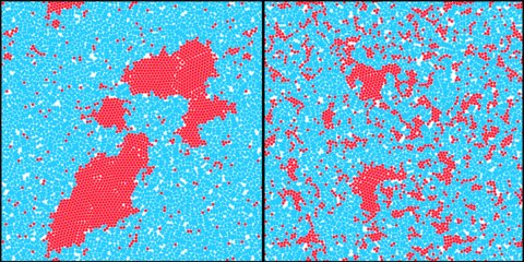 Computersimulationen von einem dichten Gemisch aus sich bewegenden (rot) und sich teilenden Teilchen (blau).
