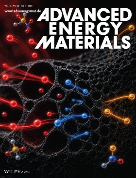 Advanced Energy Materials 16 (25),
1. Juli 2026