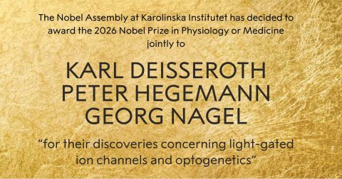 Peter Hegemann, Georg Nagel und Karl Deisseroth teilen sich den Nobelpreis für Physiologie oder Medizin 2026.