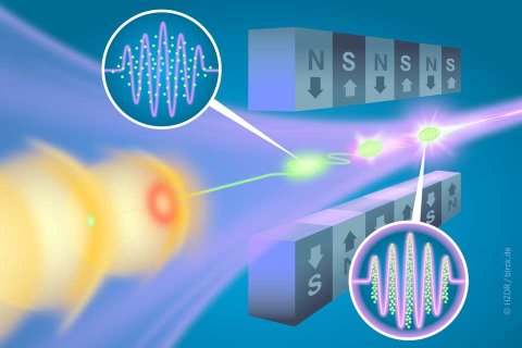 Im Undulator trifft der Elektronenstrahl aus einem kompakten Laser-Plasma-Beschleuniger auf einen Laserimpuls. Das Zusammenspiel verstärkt die erzeugte FEL-Strahlung und ermöglicht höhere Pulsenergien.